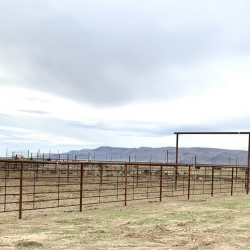 Wildlife Range Fences