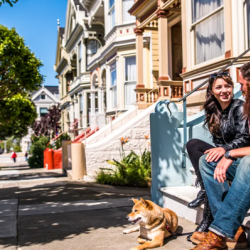 Sell Your House