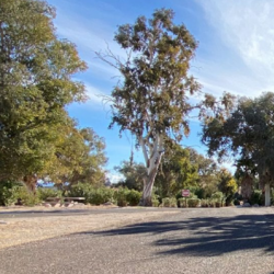 RV Park and Campground