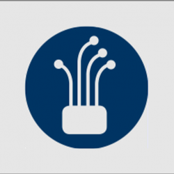 Structured Data Cabling