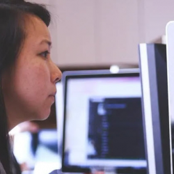 Information Technology Program