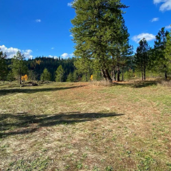 Vacant Land Sales and Development Idaho