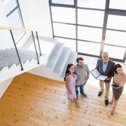 Inspections & Disclosures