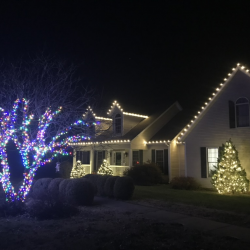 Holiday Lighting Services