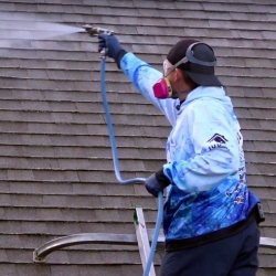 Roof Cleaning