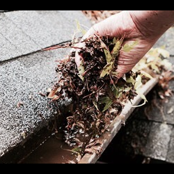 Gutter Cleaning