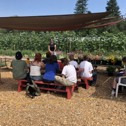 Workforce Development