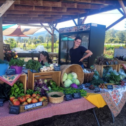 Employment Opportunities