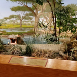Exhibits