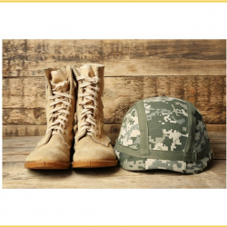 Military Professionals and Veterans