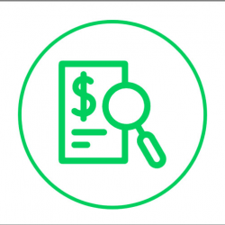 Financial and Tax  Audits