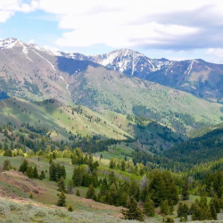 Farm Property