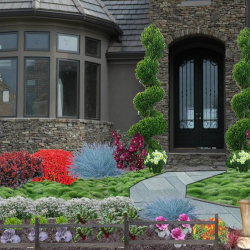 Landscape Design and Plans