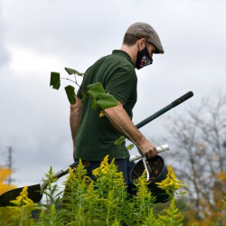 Planting