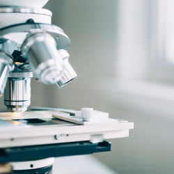 On Site Lab Collection