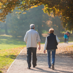 Parks and Recreation