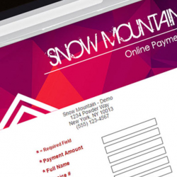 Software Integrated Payments