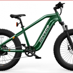 E-bike Sales