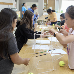 Science Fair Project Guide