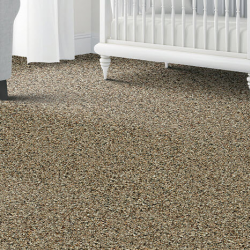 Carpet, Ceramic & Wood Floors