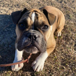  Private Lessons Training Program