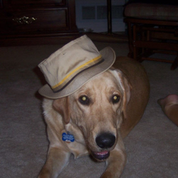 Commander Copper’s Day Train Program