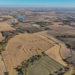 Non Irrigated Cropland