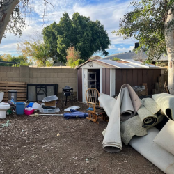 Shed Removal