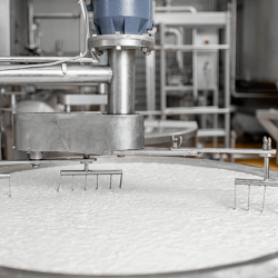 Innovative Food Solutions