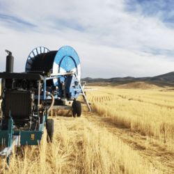 Plant Engineering for Proper Waste