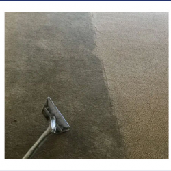  Stain and Odor Removal