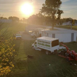 Brush Chipping or Removal