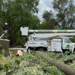 Storm Damage Cleanup Brush Chipping or Removal