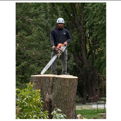 Stump Removal (Grind, Haul, Fill)