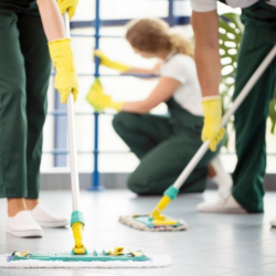 La Senora Deep Cleaning