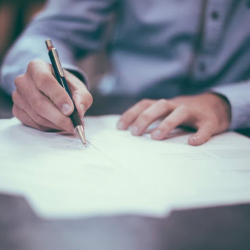 Business Licenses