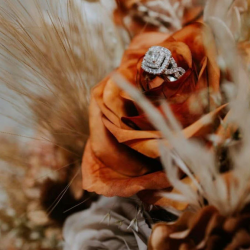 Wedding and Events Consultation 