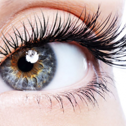 Lash Lift /Brow Lamination