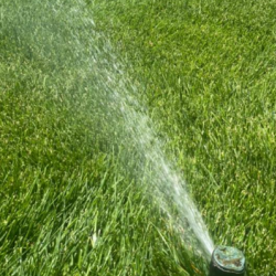 Lawn Sprinkler Installation