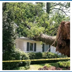 Storm Damage