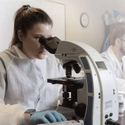 Medical Laboratory Technician (MLT) Program