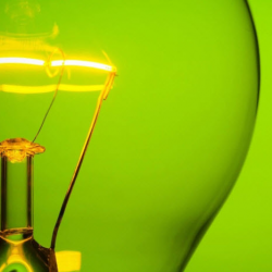 Professional Services