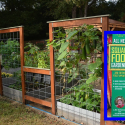 Raised Bed Project