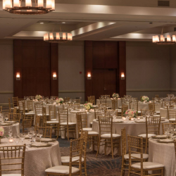 Weddings and Occasions