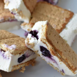 Blueberry Cheesecake Frozen Sandwich