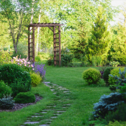 Pergola and Arbors