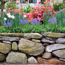 Retaining Walls