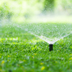 Sprinkler Systems