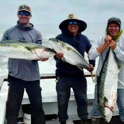 Local Freelance Sportsfishing Trips