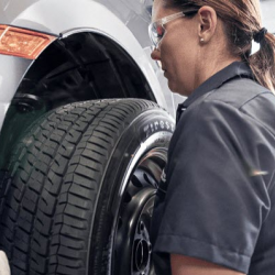 Passenger and Light Truck Tires